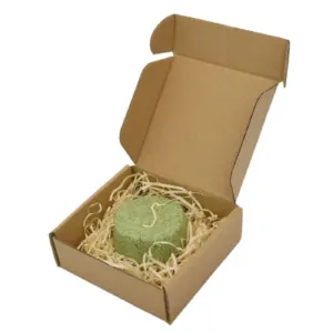 čvrsti &scaron;ampon